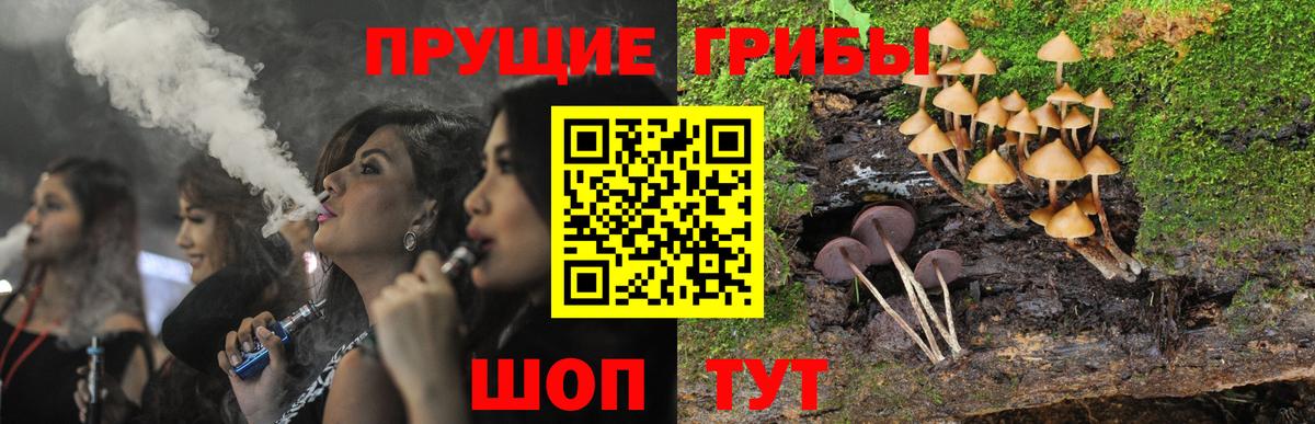 Славянск-на-Кубани  Псилоцибиновые грибы Cubensis  Вход с VPN 